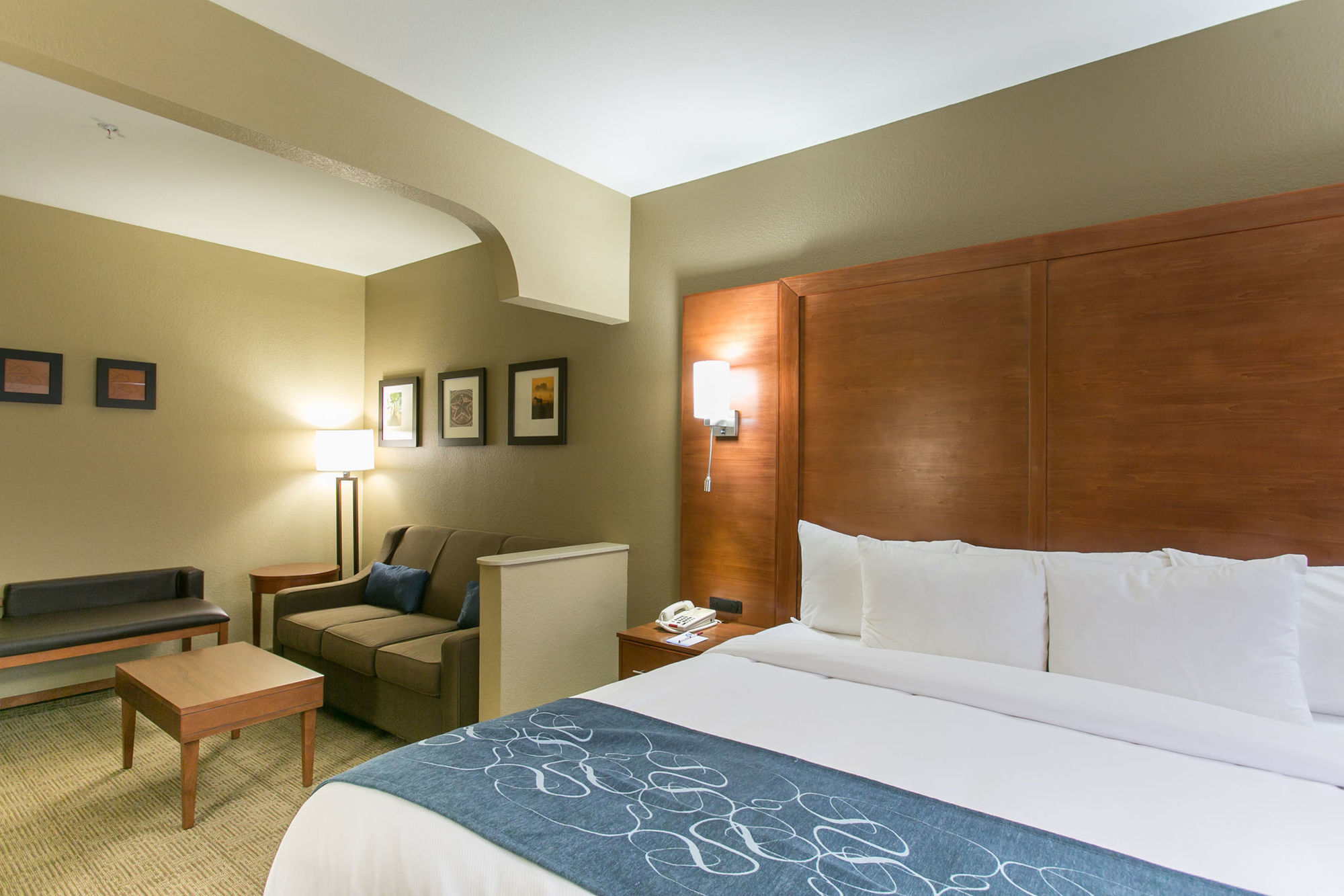 Comfort Suites Austin Nw Lakeline Quarto foto
